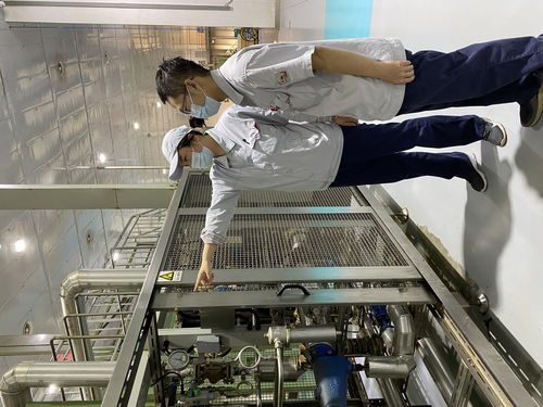 河北中烟石家庄卷烟厂精准调控操作水平促进产品质量提升